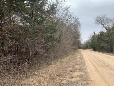 TBD Isbon- Tract 1, Whitesboro, TX 76273 - photo 6