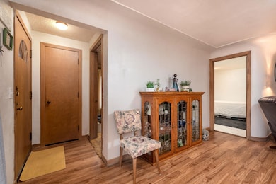 112 Fraser St, Coleman, MI 48618 - photo 3