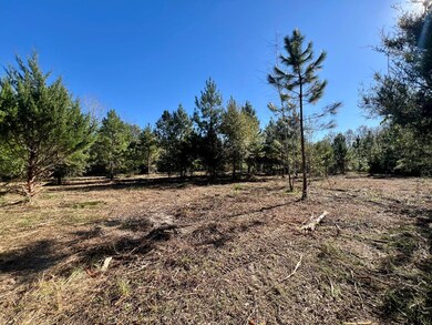 0 Washington Ave, Fitzgerald, GA 31750 - photo 5