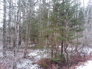 20190104_132349