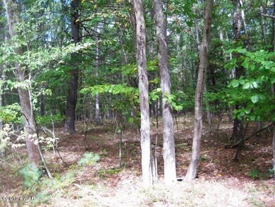 Lot 692 Club House Dr, Lackawaxen Township, PA 18428 - photo 3