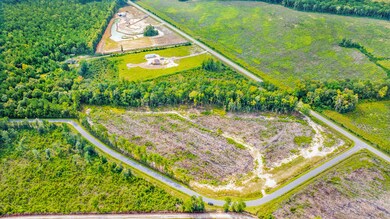 dji_20240919104351_0162_d
