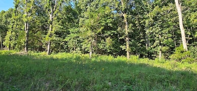 0000 Nc 6277, Jasper, AR 72641 - photo 2