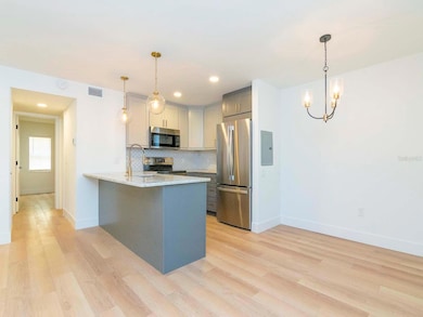 107 S Obrien St unit 118, Tampa, FL 33609 - photo 7