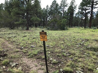 Hiking trails