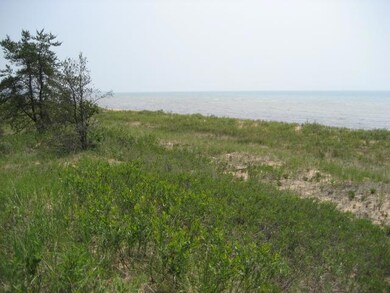 ANOTHER VIEW