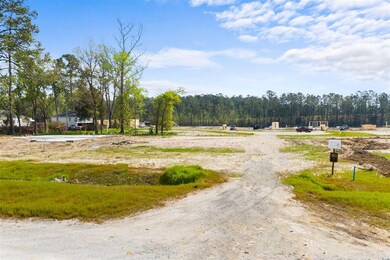 4697 Smith Rd unit Lot 2, Aynor, SC 29511 - photo 2