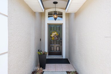 326 Tavernier Dr, Oldsmar, FL 34677 - photo 4