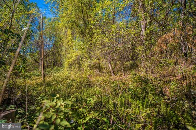 LOT D Rocky Ln, Front Royal, VA 22630 - photo 6