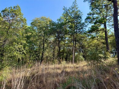 109 and 115 Olomana Ct, Bastrop, TX 78602 - photo 6