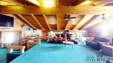 295 Pine Hill Rd, Fence Lake, NM 87315 - photo 4