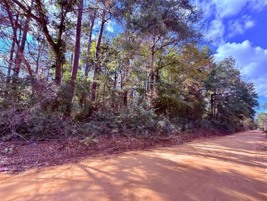 0 Warpath Dr unit 10488325, Livingston, TX 77351 - photo 2