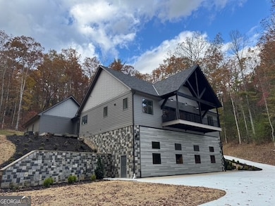 Let side elevation of home and airplane hangar.