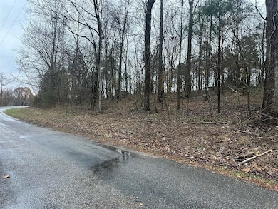 0 N Gillock Rd, Glasgow, KY 42141 - photo 4