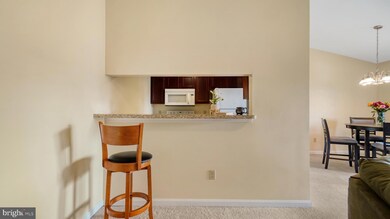 6608 Rapid Water Way unit 303, Glen Burnie, MD 21060 - photo 7