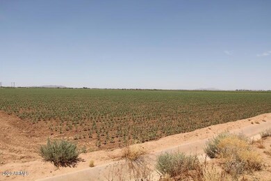 0 E Milligan Rd unit 6038735, Eloy, AZ 85131 - photo 4