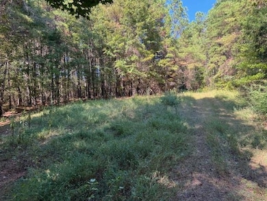 0 Walnut Grove Rd, Bolivar, TN 38008 - photo 7