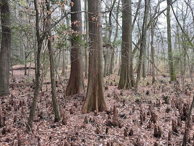 000 Fleming Mill Rd, Pocomoke City, MD 21851 - photo 5