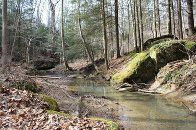 27621 Big Pine Rd, Logan, OH 43138 - photo 6