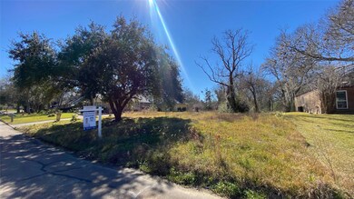 5410 Appleblossom Ln, Friendswood, TX 77546 - photo 2