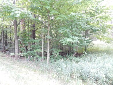 DSCN6487