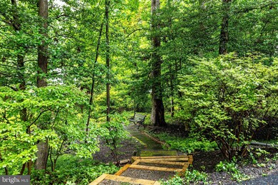 2403 Red Maple Ln, Reston, VA 20191 - photo 6