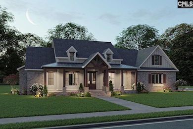 TBD Haltiwanger Rd, Chapin, SC 29036 - photo 2