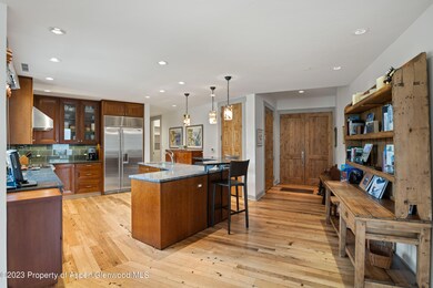 101 N Spring St unit 302, Aspen, CO 81611 - photo 7