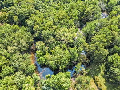 DJI_0641