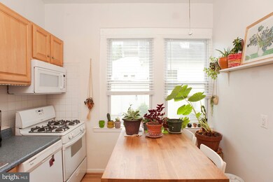 809 Bay Ridge Ave unit 1, Annapolis, MD 21403 - photo 4