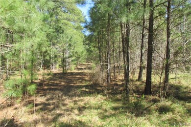 16615 Templeton Rd, Disputanta, VA 23842 - photo 6