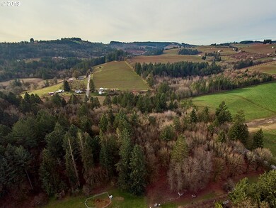 0 SW Niederberger Rd, Dundee, OR 97115 - photo 4