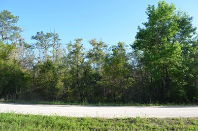 000 Fiddler's Way, Keaton Beach, FL 32348 - photo 2