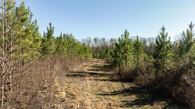 0 Lake Rd, Clinton, SC 29325 - photo 4