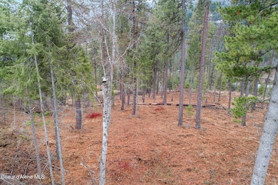 Aerial_GarfieldBay_Lot3-5