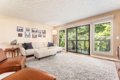 Rosati windows