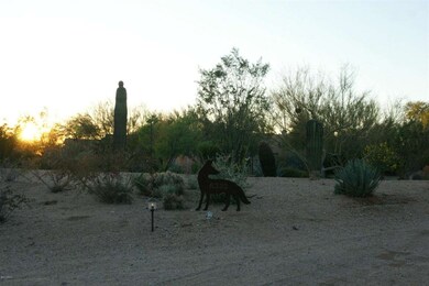 Desert Front Landscaping