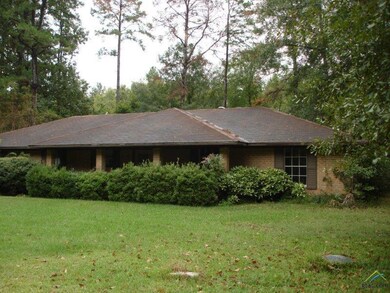 15572 Nell Lynn Ln, Tyler, TX 75707 - photo 3