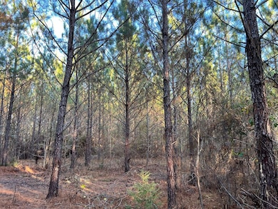 0 Rouse Rd, Weoka, AL 36092 - photo 3