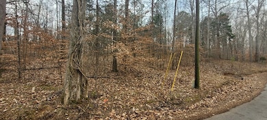 636 Tobaccoport Rd, Bumpus Mills, TN 37028 - photo 7