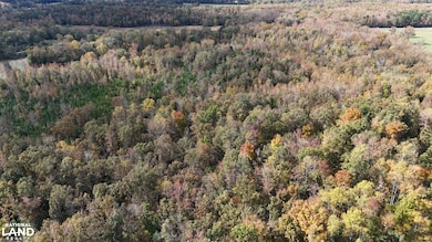 1200 Sand Ridge Rd, Lexington, TN 38351 - photo 5