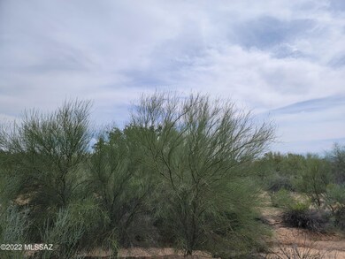 4677 W LESSING LANE BACKYARD3
