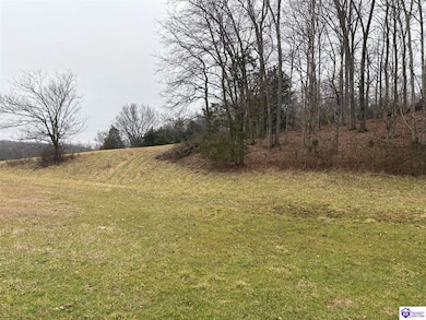 600 Cora Wilborn Rd, Summer Shade, KY 42166 - photo 5