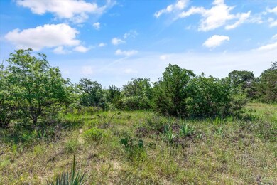 106 Valley View Ct, Springtown, TX 76082 - photo 4