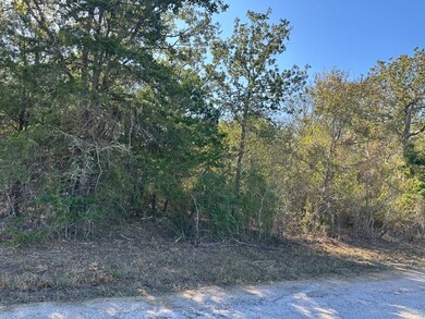 223 Houston Ave, Somerville, TX 77879 - photo 4