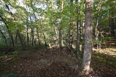 0 Tbd Upper Cady Rd unit 201827580, Chatham, NY - photo 7