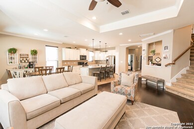 10922 Yaupon Holly, Helotes, TX 78023 - photo 7