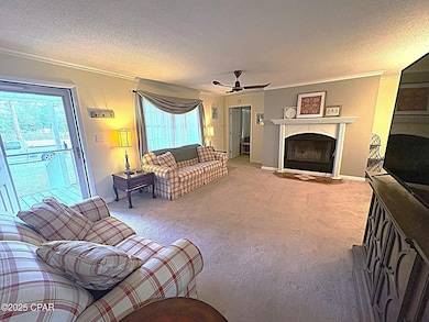 5853 Catalina Ln, Greenwood, FL 32443 - photo 5