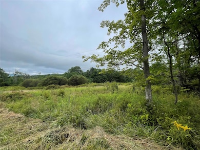 0 Basil Todd Rd, Middletown, NY 12430 - photo 5