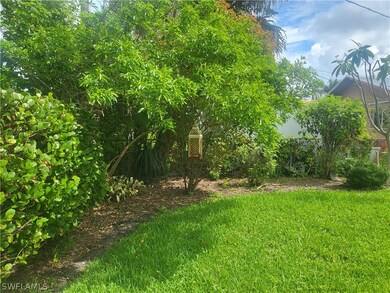 Backyard landscaping